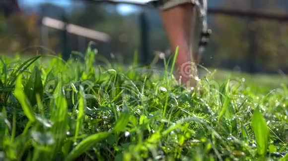 女人光着脚走在潮湿的草地上视频的预览图