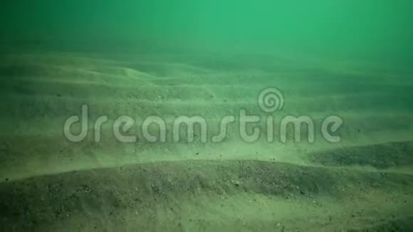 黑海海底靠近海岸视频的预览图