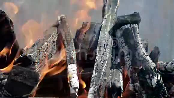 木柴篝火视频的预览图