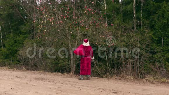 圣诞老人带着礼品袋在树林里的苹果树附近视频的预览图