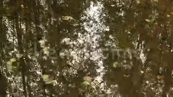 靠近河水秋天的白天光滑的娃娃射击视频的预览图