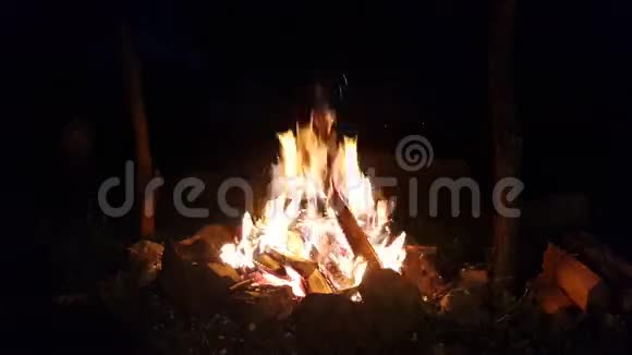 晚上火燃烧了燃烧木材视频的预览图