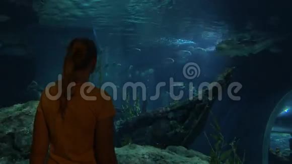 女人看着鲨鱼在大水族馆泰国曼谷暹罗海洋世界视频的预览图
