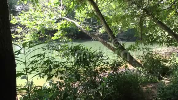 乔治亚州梅洛克洛克桥通过树木放大看到绿色的查塔霍切河视频的预览图