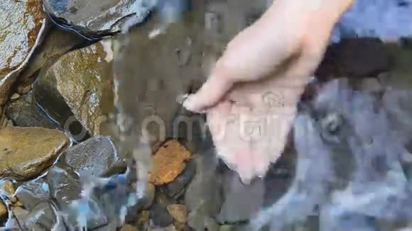 女人的双手从湖中汲取纯净水视频的预览图