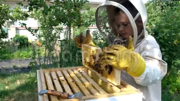 在蜂巢附近穿着防护服的快乐男孩养蜂人有蜂蜜的蜂窝有机食品概念最有用的视频的预览图