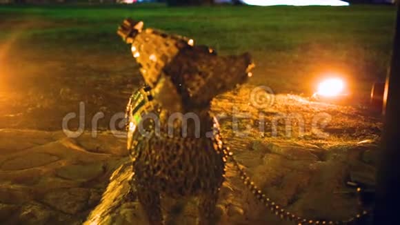 蒂比利西乔治博克夜景灯光明亮的和平桥梁铁狗视频的预览图