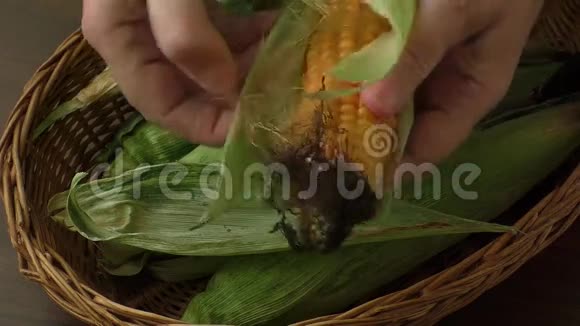 女人清洗成熟的玉米视频的预览图