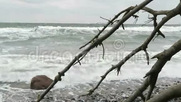 阿尔科纳角海滩海岸线的暴风雨天气德国视频的预览图