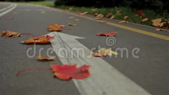路上的自行车箭头标志秋天投中弹视频的预览图