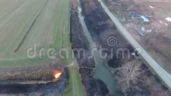 干草和芦苇在灌溉渠两岸燃烧视频的预览图