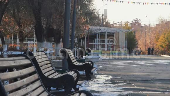 公园长椅秋霜视频的预览图
