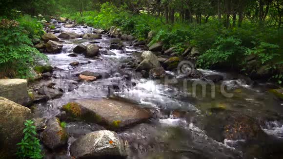 比利牛斯岛西班牙的小溪视频的预览图