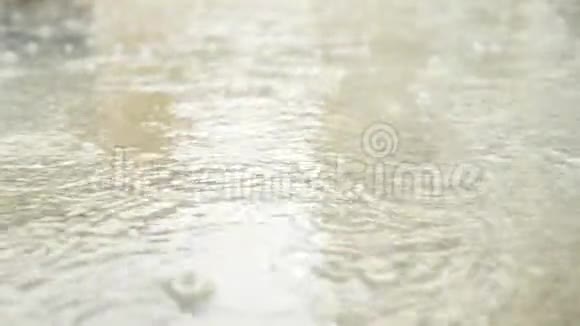 倾盆大雨落在人行道上的水坑里特写镜头慢动作4k视频的预览图