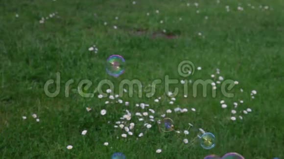 绿色草坪上有肥皂泡视频的预览图