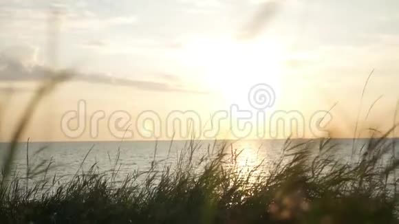美丽的日落景观与海和草高清1920x1080慢动作视频的预览图