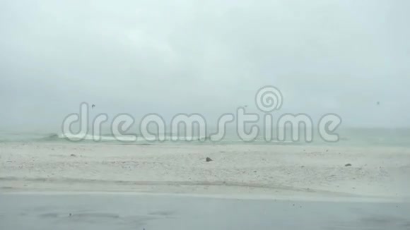 佛罗里达彭萨科拉海滩的风暴车窗下雨视频的预览图