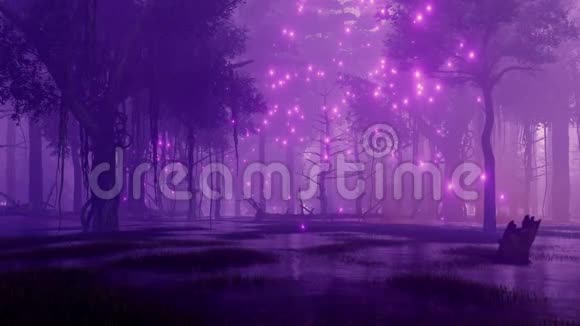 令人毛骨悚然的夜间森林沼泽4K的神奇灯光视频的预览图