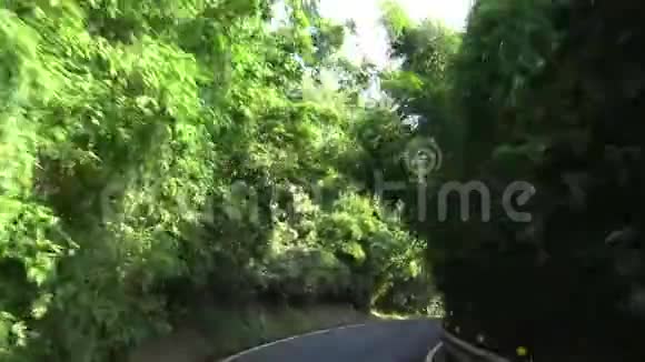 4K驾驶在山路通过森林与转弯在亚洲视频的预览图