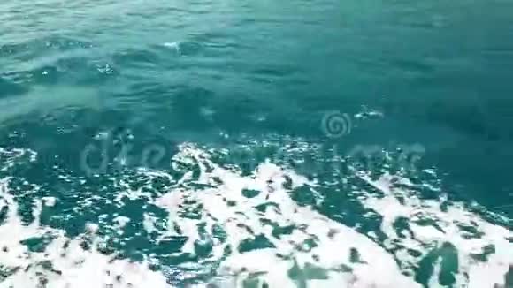 海泡海水视频的预览图