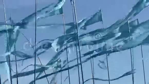 宾南三角旗视频的预览图