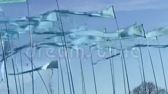 宾南三角旗视频的预览图
