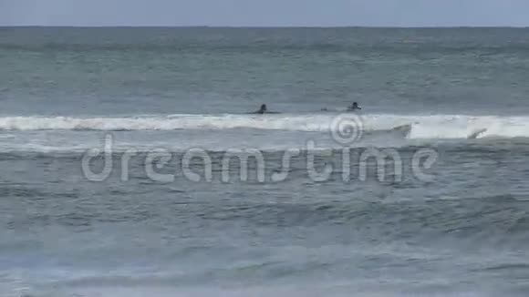 冲浪者寻求清晨的海浪棕榈滩昆士兰澳大利亚视频的预览图