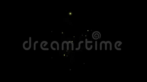 夜背景的飞萤视频的预览图