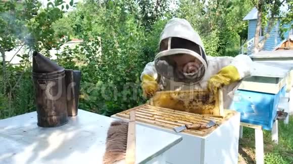 在蜂巢附近穿着防护服的快乐男孩养蜂人有蜂蜜的蜂窝有机食品概念最有用的视频的预览图
