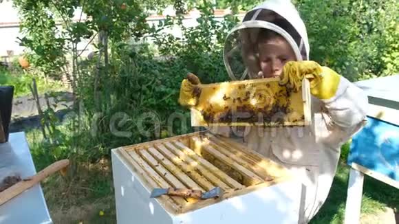 在蜂巢附近穿着防护服的快乐男孩养蜂人有蜂蜜的蜂窝有机食品概念最有用的视频的预览图