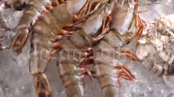 生虾和贝壳视频的预览图