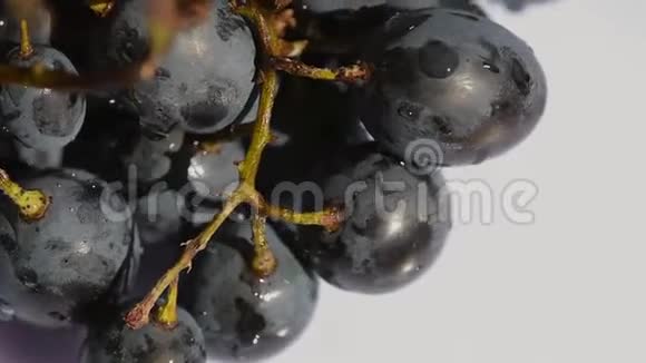 一串葡萄在白色背景上视频的预览图