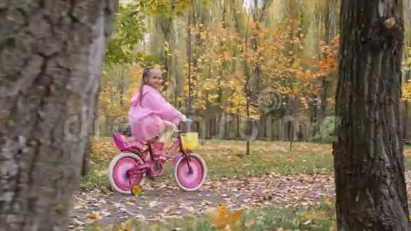 小女孩在秋天公园练习骑一辆粉红色的自行车视频的预览图