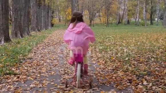 小女孩在秋天公园练习骑一辆粉红色的自行车视频的预览图