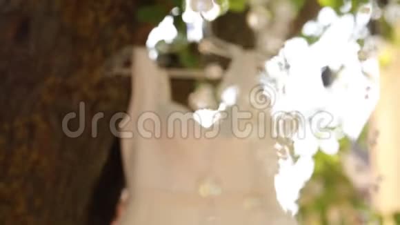 婚礼婚纱挂在一棵树上的乡村风格的婚礼带有粉红色花束花环和乡村装饰视频的预览图