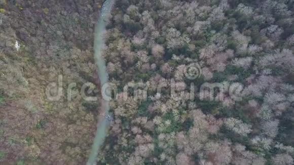 鸟瞰绿色草地和小河剪辑山地河流空中景观森林河的俯视图视频的预览图