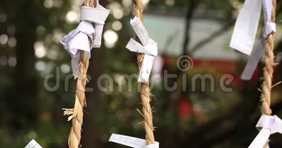 日本静冈箱根神社视频的预览图