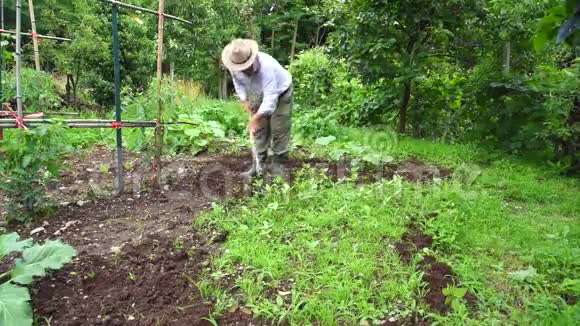 老人锄菜园土视频的预览图