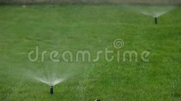 喷水草坪花园自动灌溉系统视频的预览图