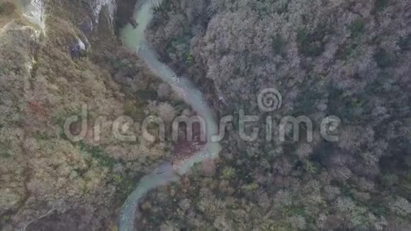 鸟瞰绿色草地和小河剪辑山地河流空中景观森林河的俯视图视频的预览图