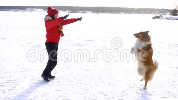 牧羊犬和女孩在雪地上玩耍视频的预览图