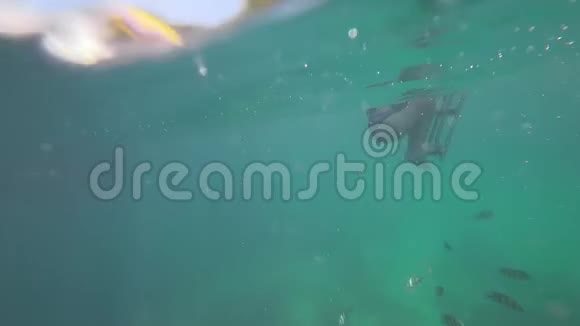 安达曼海的水下浮潜视频的预览图