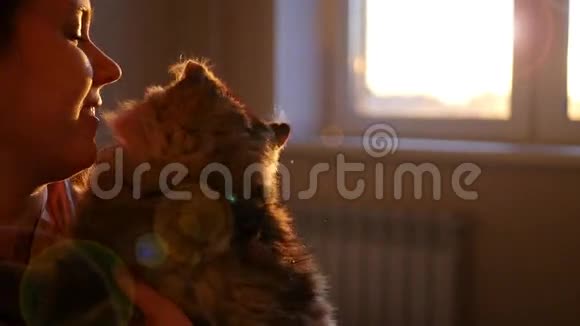 日落时分一位年轻的美女与猫面对面交谈视频的预览图