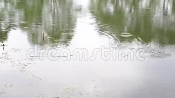 好咬鱼小雨鲤鱼大抓鱼视频的预览图