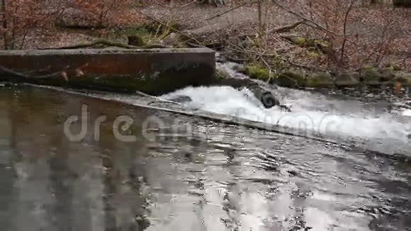 流动的溪水位于巴伐利亚州Starnberg德国旁边春季乌尔河景观视频的预览图