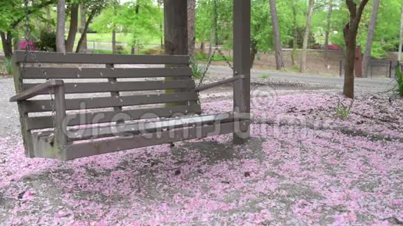 公园里的地面和篱笆上的杜鹃花视频的预览图