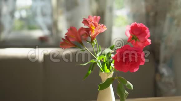 特写镜头在一个阳光明媚的夏日在咖啡馆里一束可爱的红玫瑰和放在桌上的花瓶里的自由女神视频的预览图
