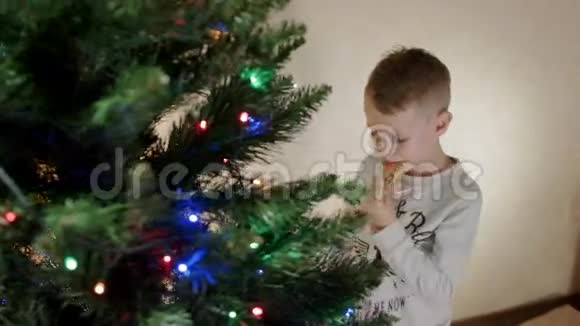 可爱的男孩在新年树附近吃姜饼然后把它挂回树上视频的预览图