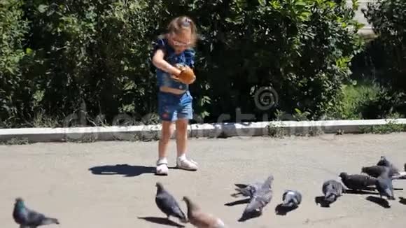 小女孩正在公园里喂鸽子视频的预览图