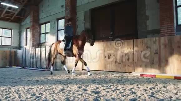女人骑着马在覆盖的赛道上视频的预览图